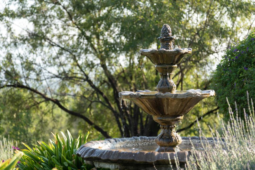 Photo of Others in Magaliesberg