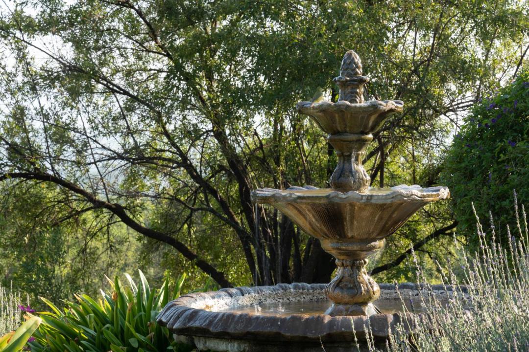 Photo of Others in Magaliesberg