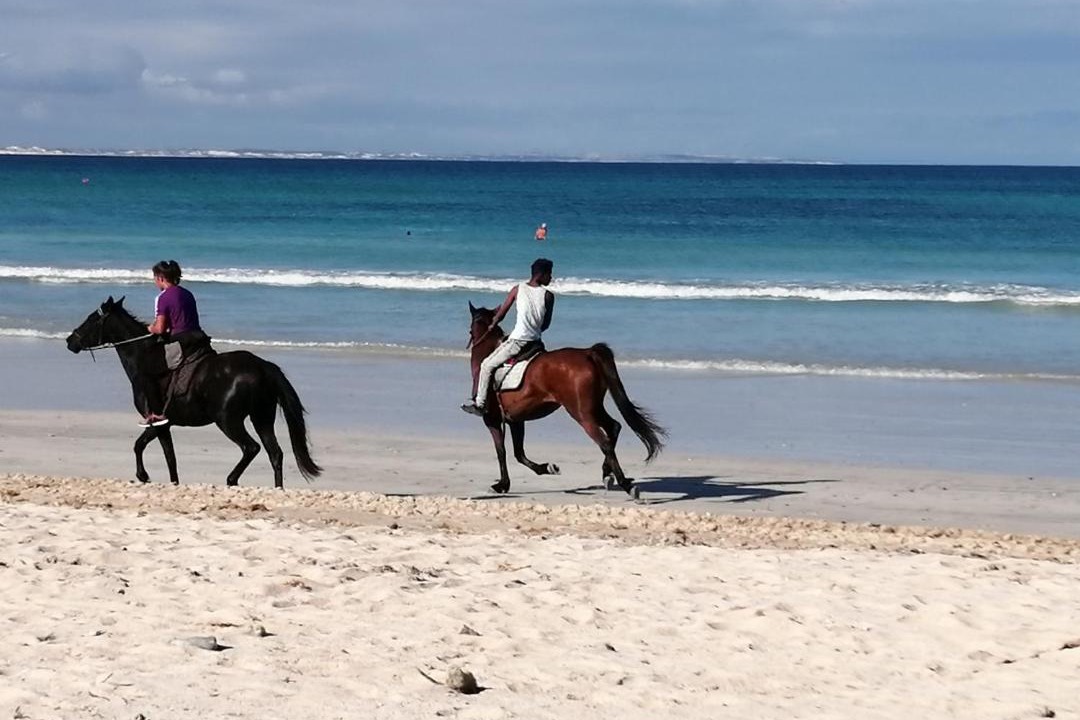 Photo of Others in L'Agulhas