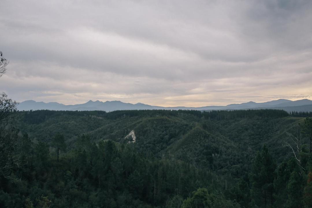 Photo of Others in Knysna