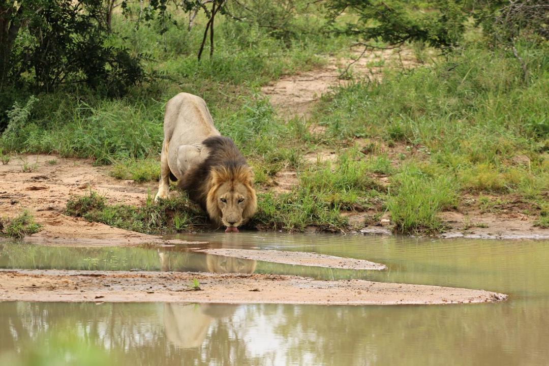 Photo of Others in Phalaborwa