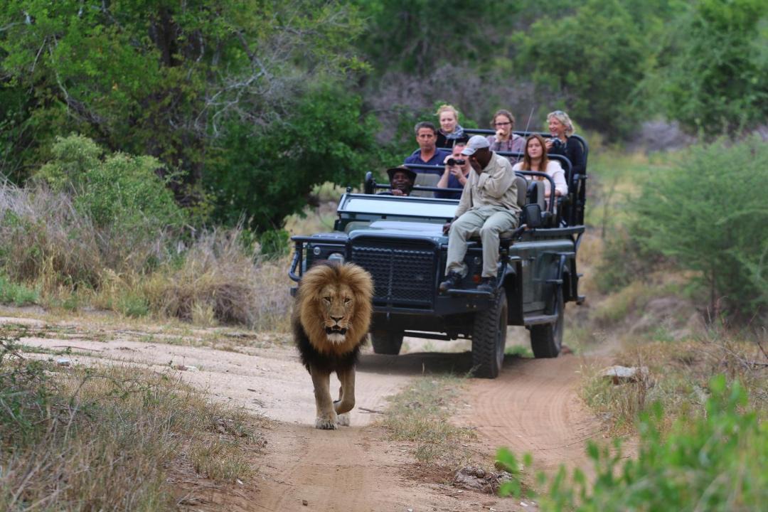 Photo of Others in Phalaborwa