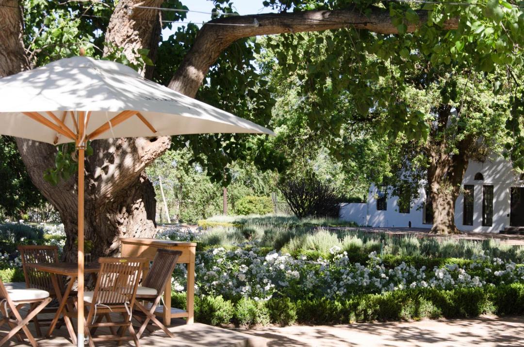 Photo of Others in Cape Winelands