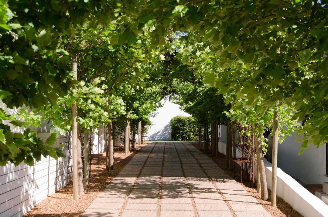 Photo of Others in Cape Winelands