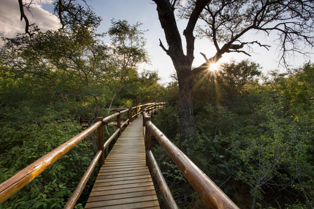 Photo of Others in Thorny Bush Game Reserve