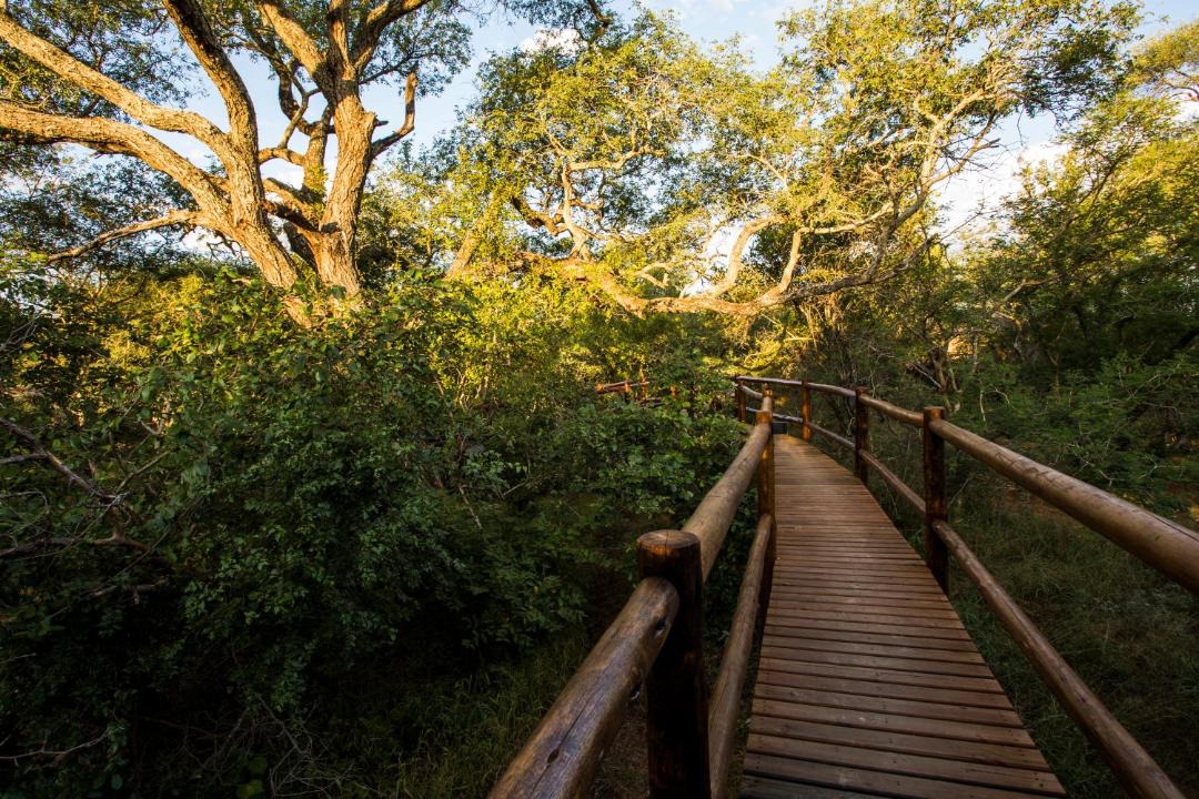 Photo of Others in Thorny Bush Game Reserve