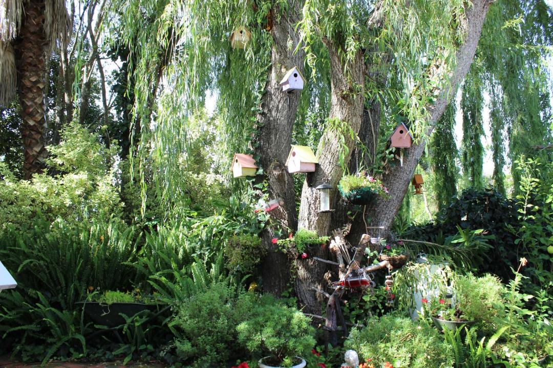 Photo of Others in Swellendam