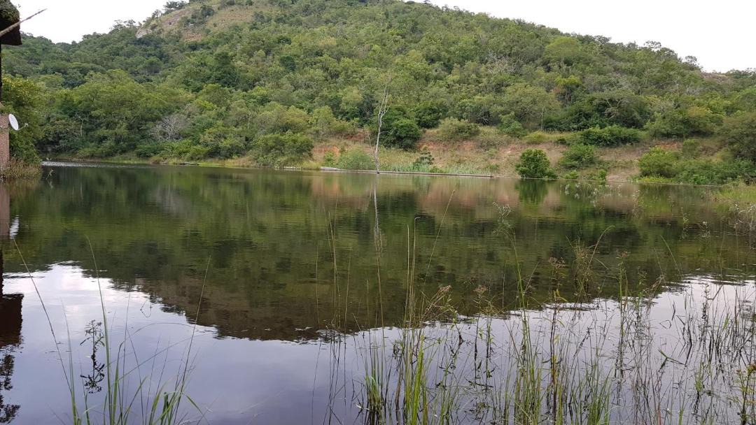 Photo of Others in Nelspruit