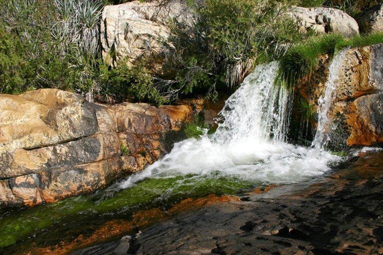 Photo of Others in Citrusdal