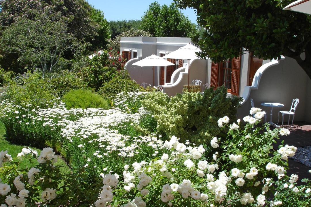 Photo of Others in Constantia