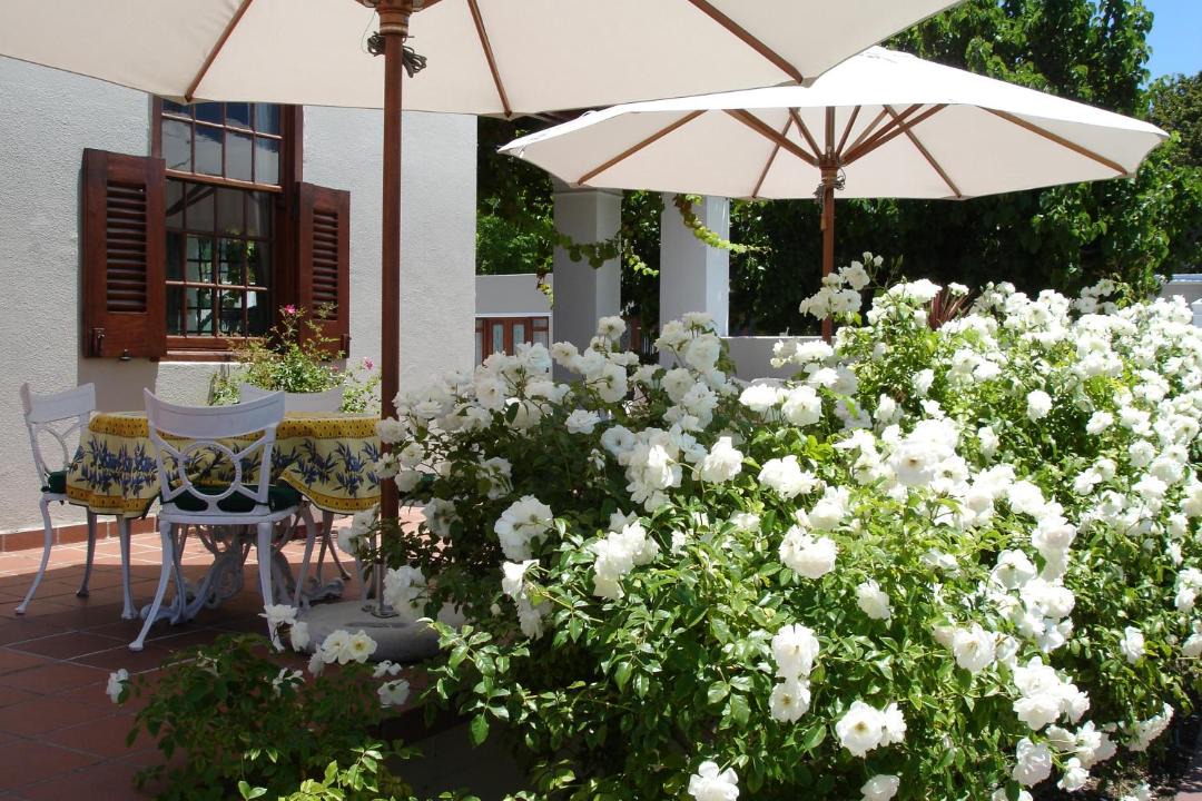 Photo of Others in Constantia