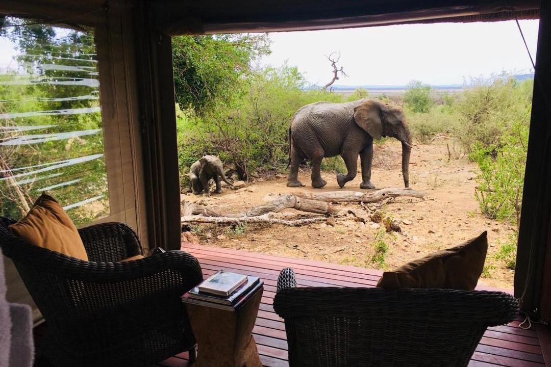 Photo of Others in Madikwe Game Reserve