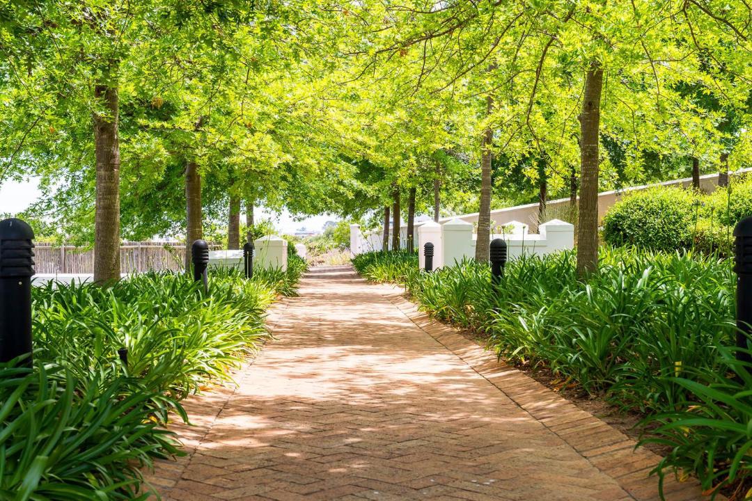 Photo of Others in Stellenbosch