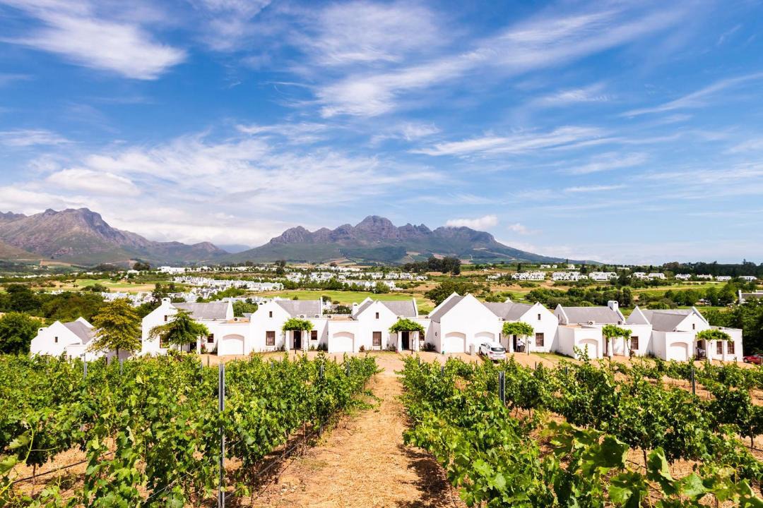 Photo of Others in Stellenbosch