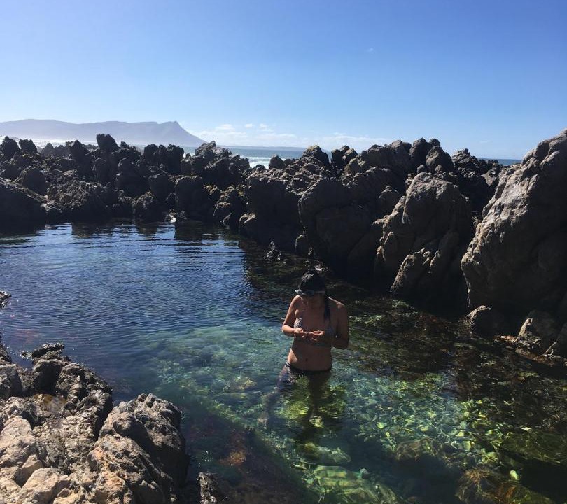 Photo of Others in Kleinmond