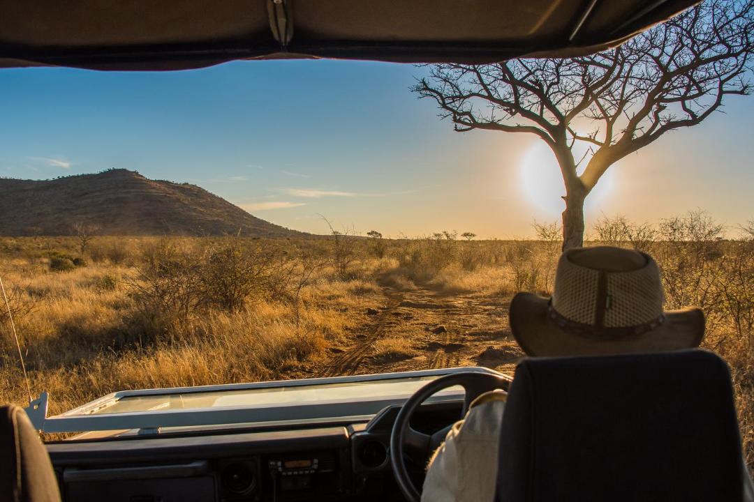Photo of Others in Madikwe Game Reserve