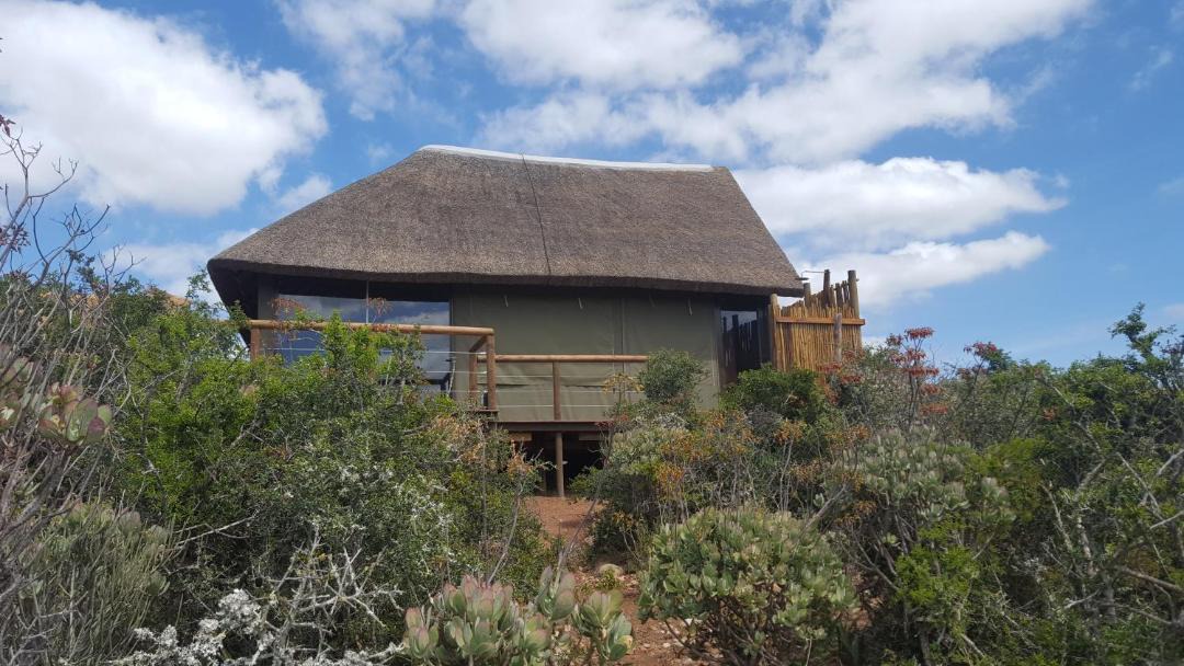 Photo of Others in Addo
