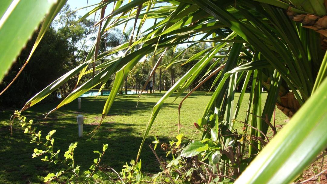 Photo of Others in Hazyview