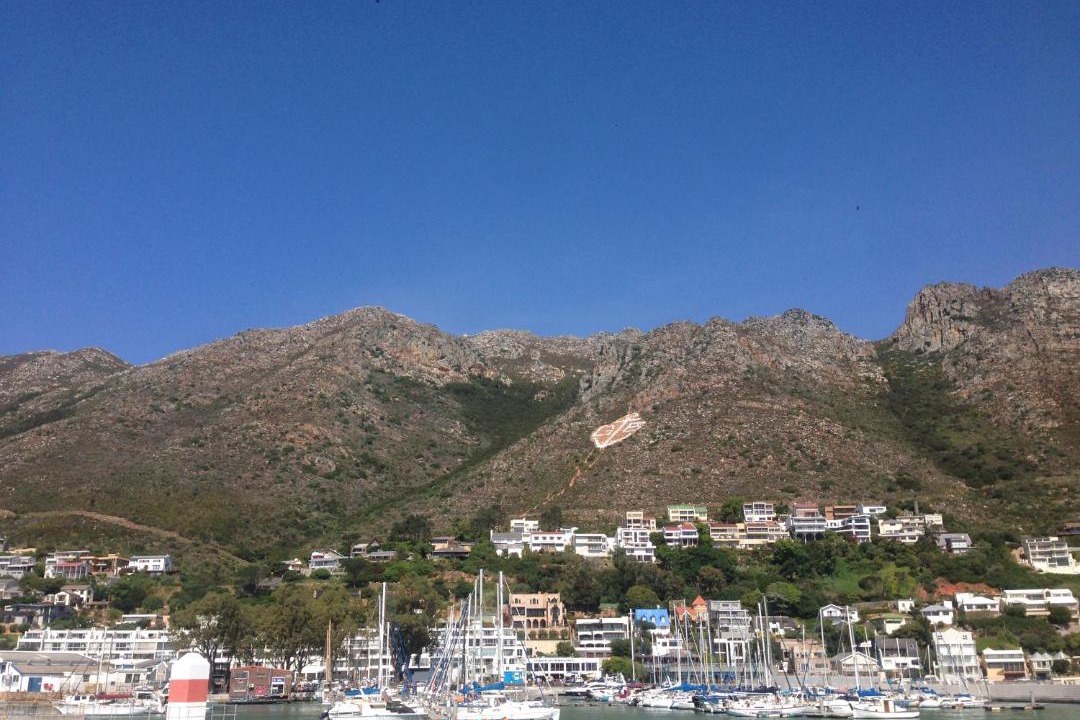 Photo of Others in Gordon's Bay