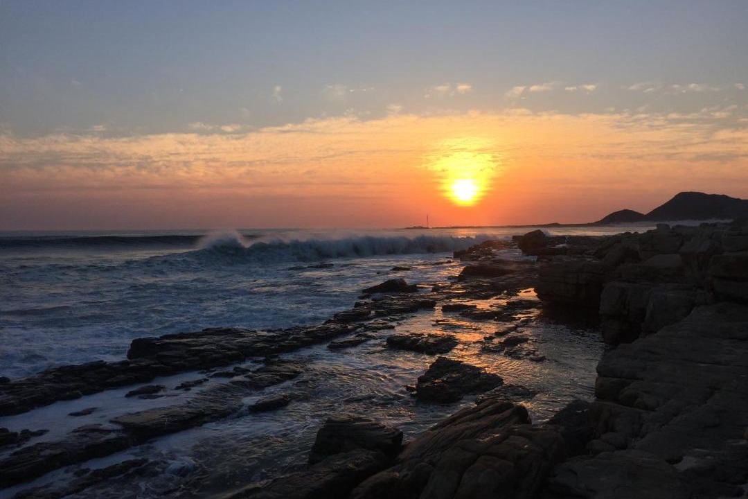 Photo of Others in Cape Peninsula
