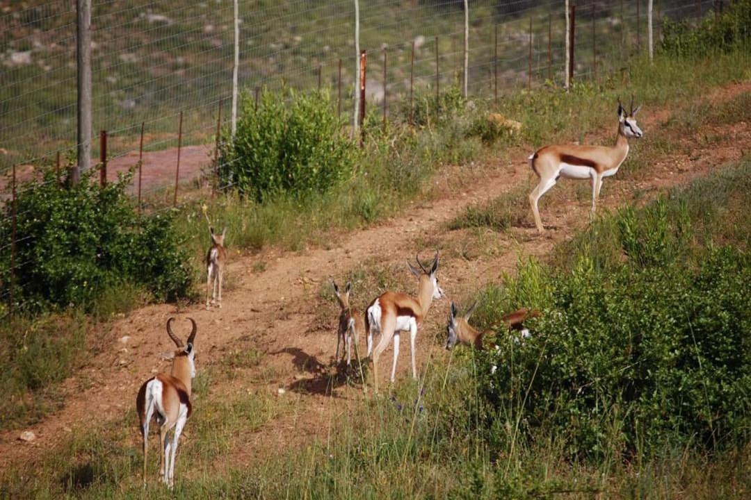 Photo of Others in Wolseley