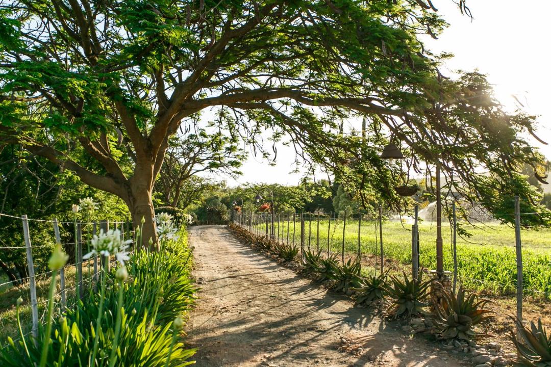 Photo of Others in Schoemanshoek