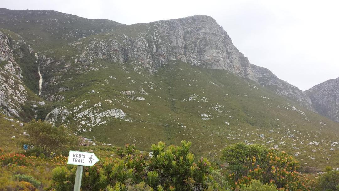 Photo of Others in Betty's Bay
