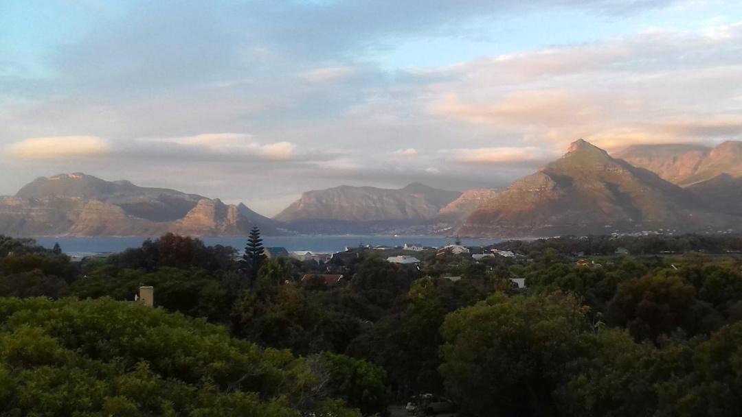 Photo of Others in Cape Peninsula