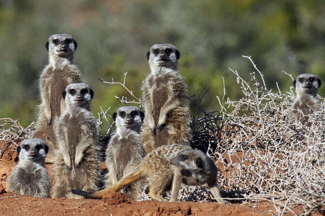 Photo of Others in Schoemanshoek