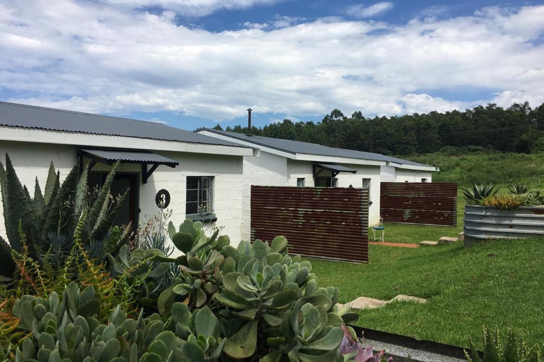 Photo of Others in Howick