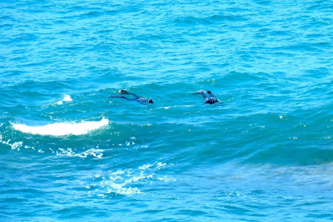 Photo of Others in Gouritz
