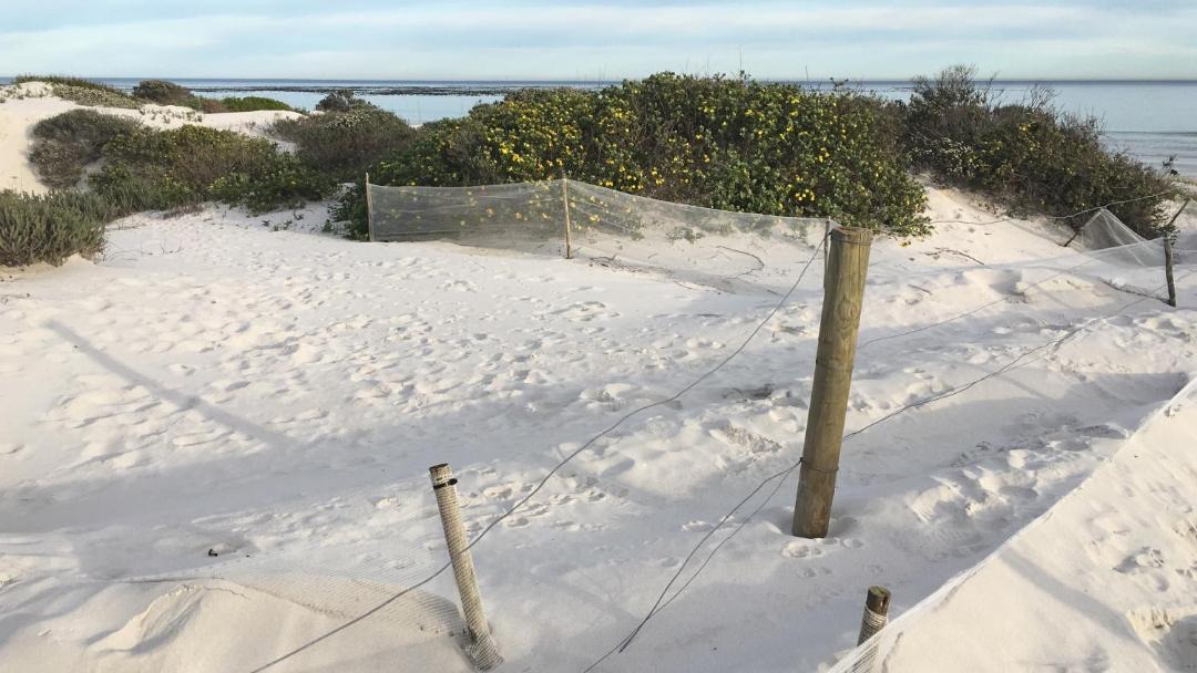 Photo of Others in Kommetjie
