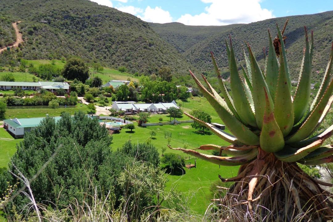 Photo of Others in Schoemanshoek