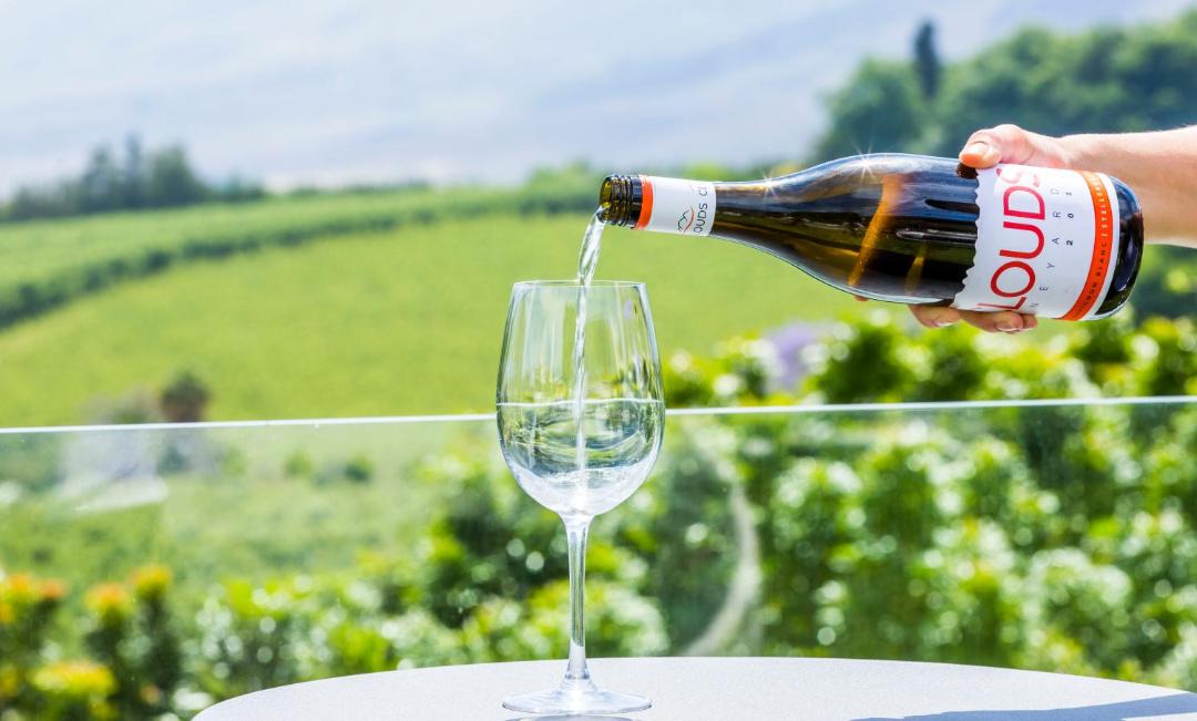 Photo of Others in Cape Winelands