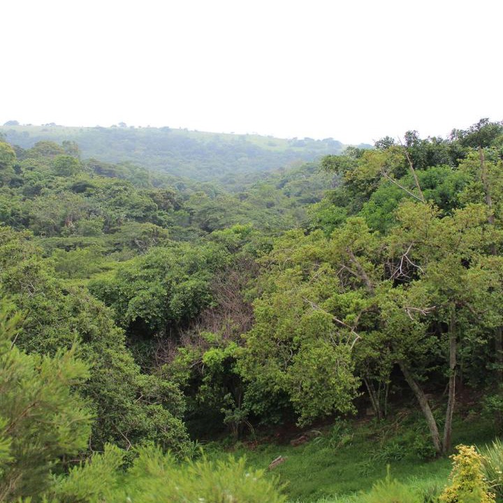 Photo of Others in Kloof