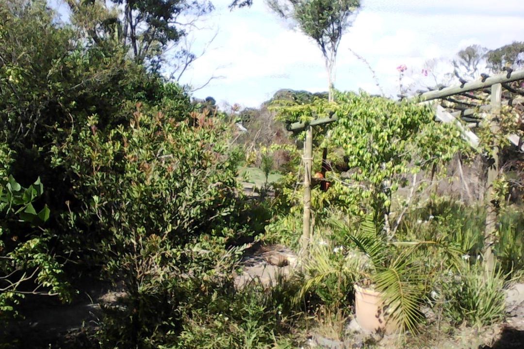 Photo of Others in Knysna
