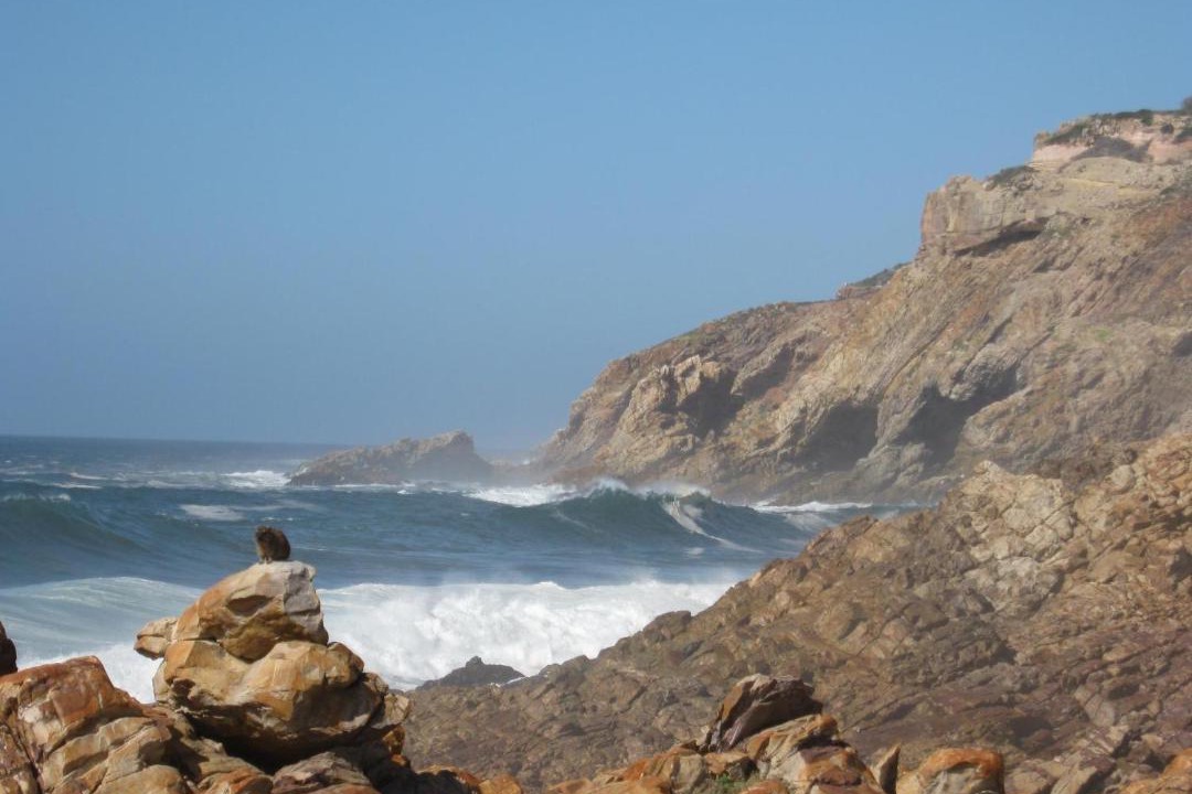 Photo of Others in Mossel Bay