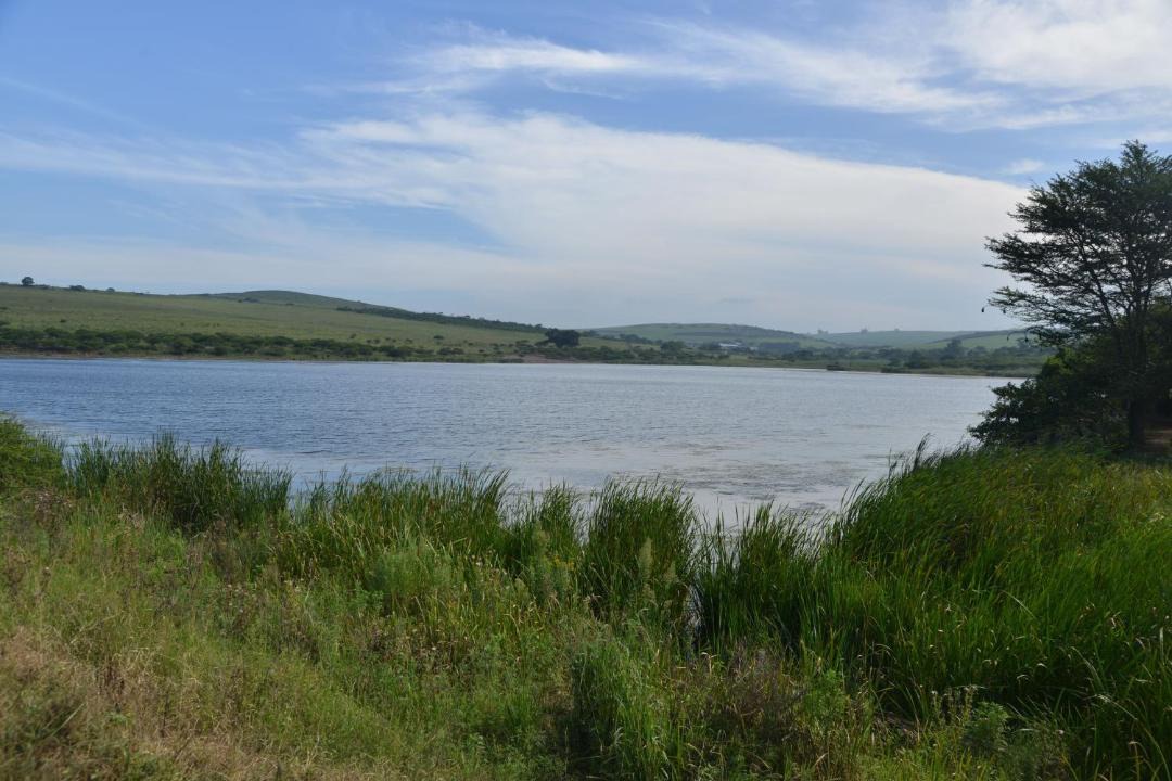 Photo of Others in Eston
