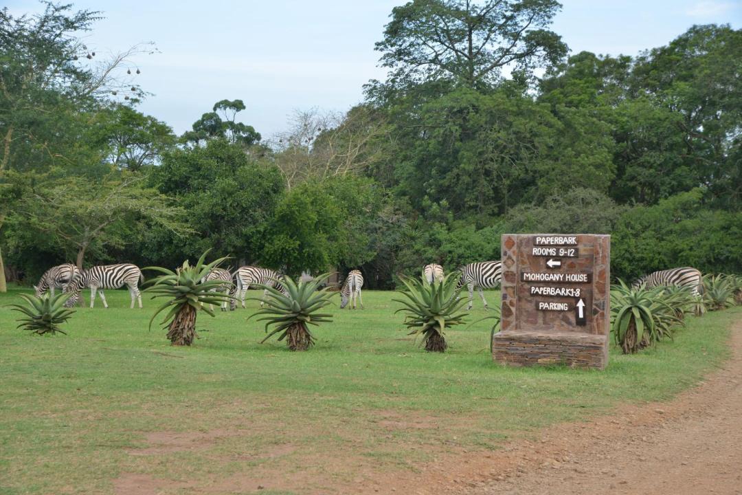 Photo of Others in Eston