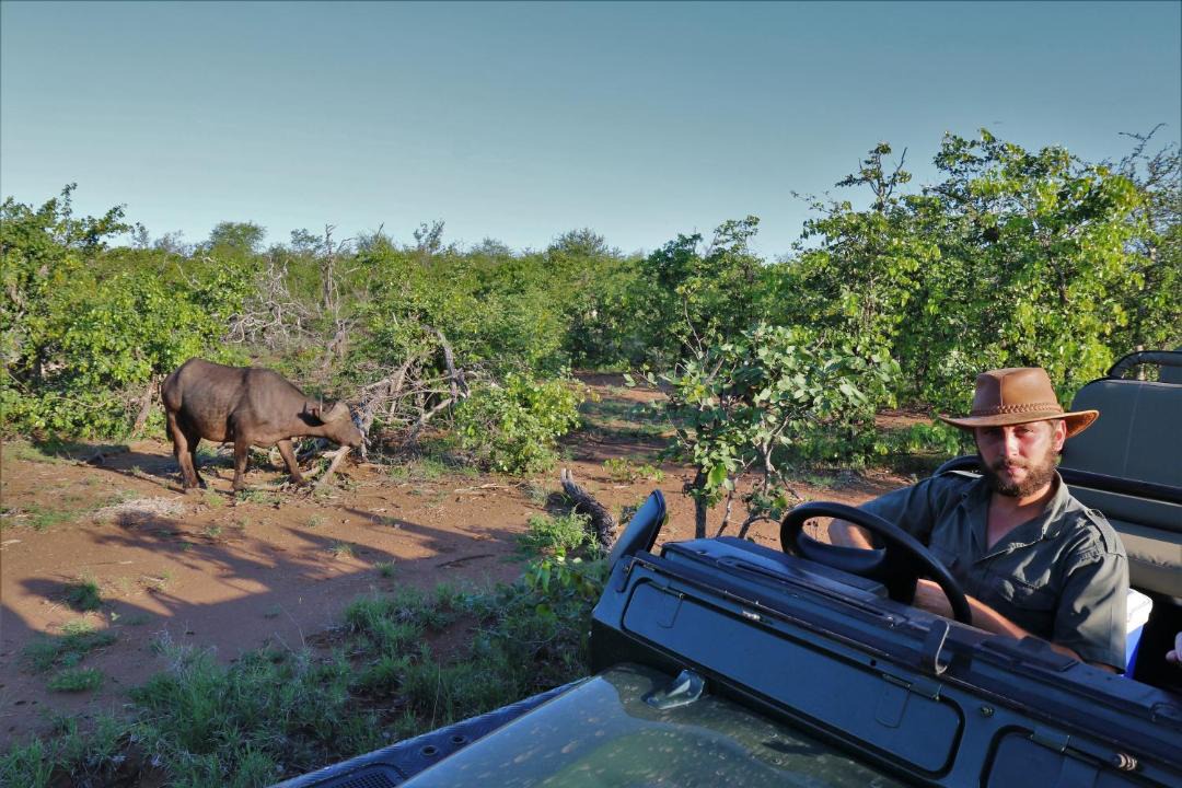 Photo of Others in Phalaborwa