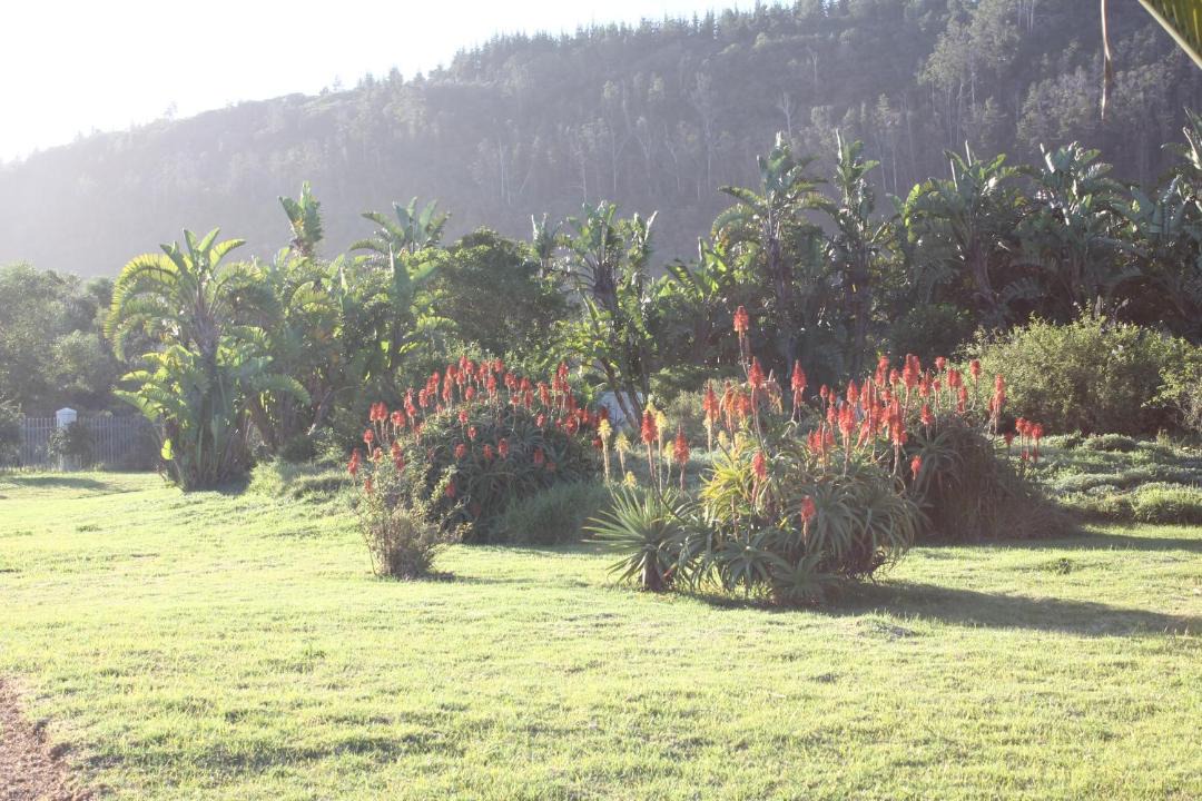 Photo of Others in Sedgefield