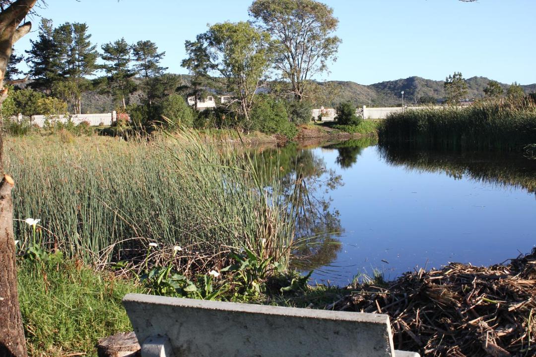 Photo of Others in Sedgefield