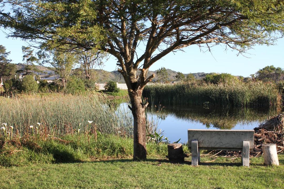 Photo of Others in Sedgefield