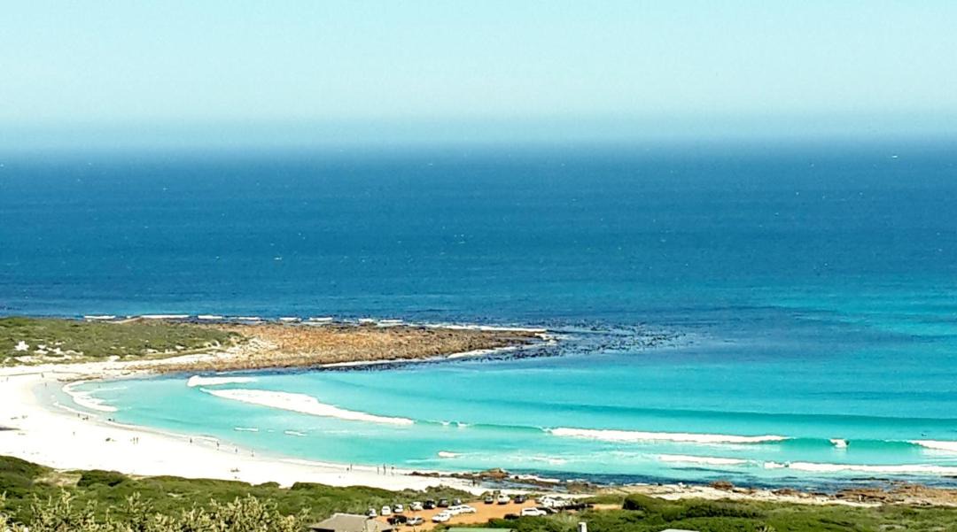 Photo of Others in Cape Peninsula