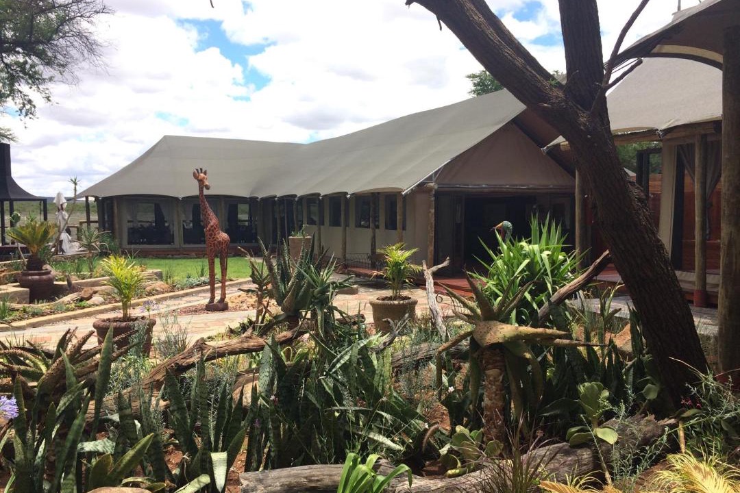 Photo of Others in Madikwe Game Reserve