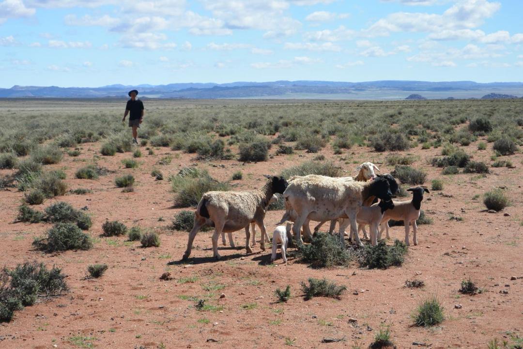 Photo of Others in Leliefontein
