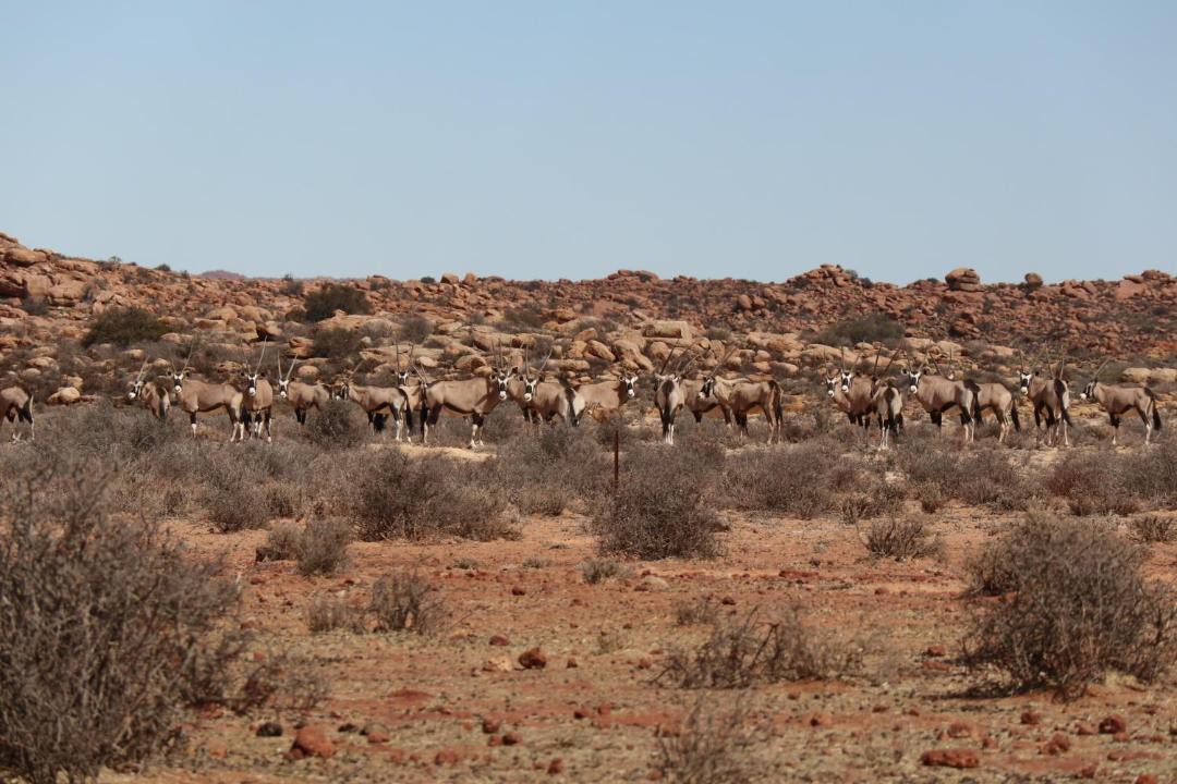 Photo of Others in Leliefontein