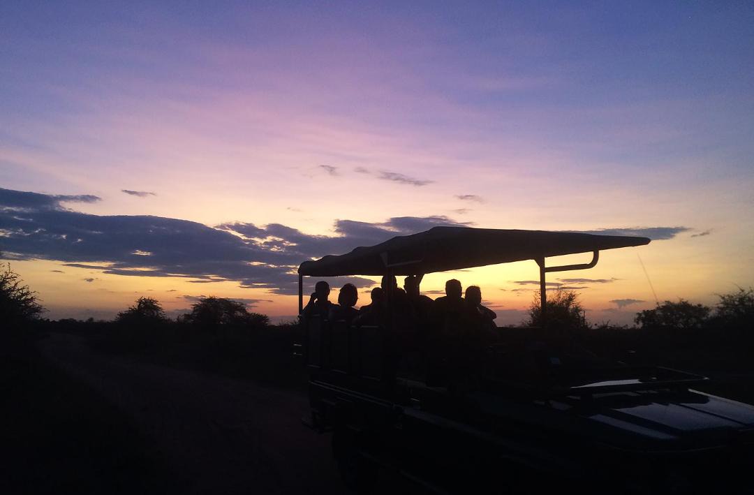 Photo of Others in Kruger National Park