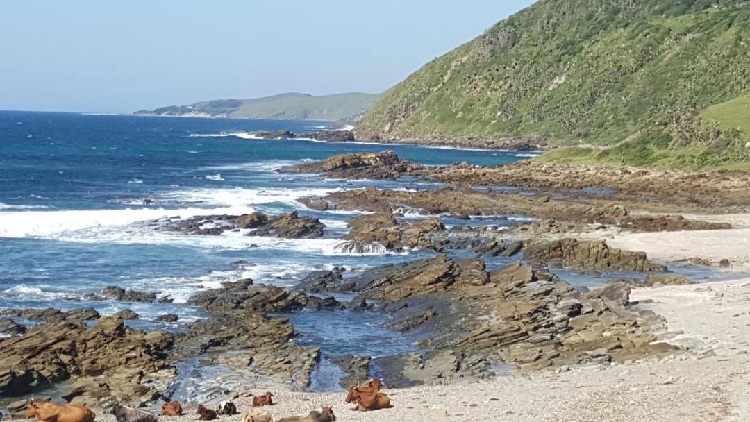 Photo of Others in Port St Johns