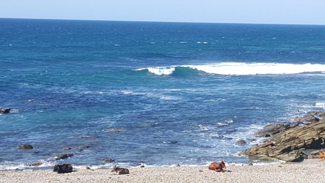 Photo of Others in Port St Johns